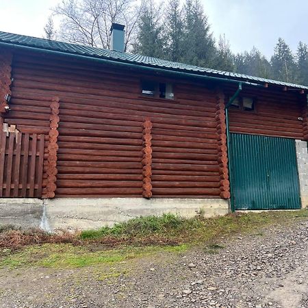 Farmstead Lisova Hostel Mizhhirya  Ngoại thất bức ảnh