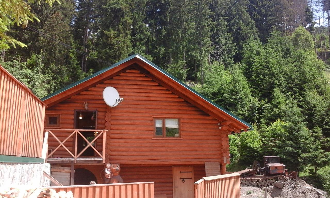 Farmstead Lisova Hostel Mizhhirya  Ngoại thất bức ảnh